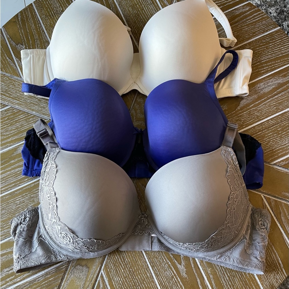 Torrid bras